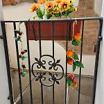 Casa Pretoria *